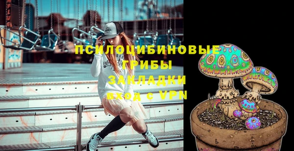дживик Аркадак